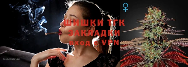 сатива Абинск