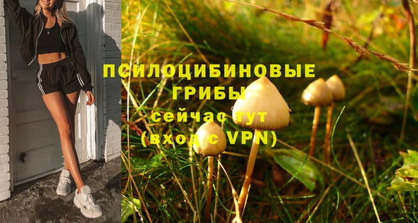 a pvp Алексеевка
