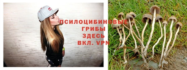 a pvp Алексеевка