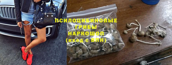 сатива Абинск