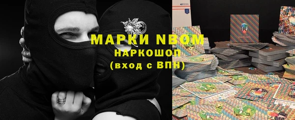 сатива Абинск