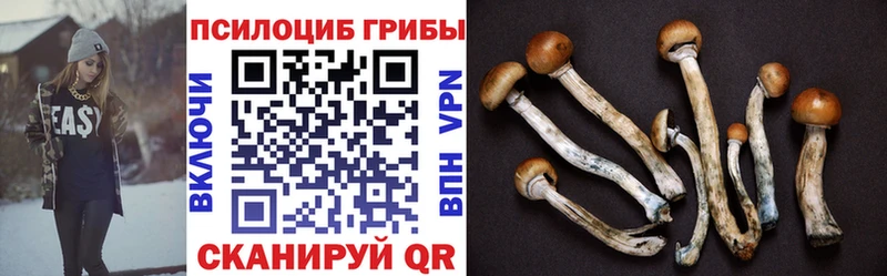 Галлюциногенные грибы MAGIC MUSHROOMS  Тотьма 
