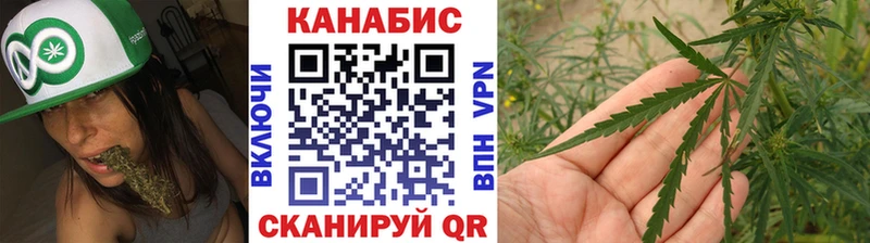 магазин продажи наркотиков  ссылка на мегу маркетплейс  Бошки марихуана SATIVA & INDICA  Тотьма 